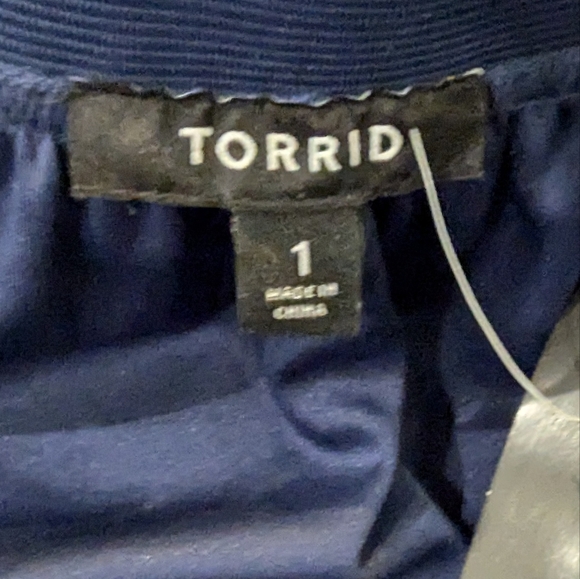 NWT Torrid elegant full tulle skirt with lining Blue 1x - Picture 10 of 13